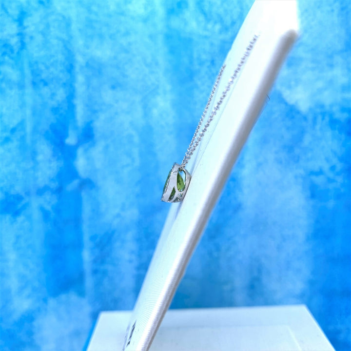 N1041PRW_4