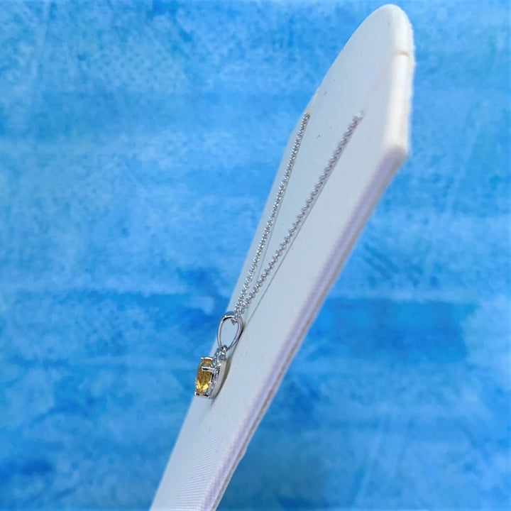 N1043CTW_3