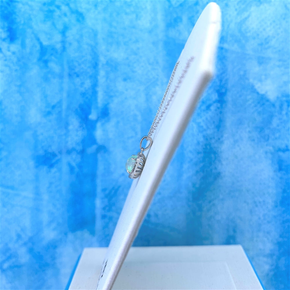 N1253COPW_4